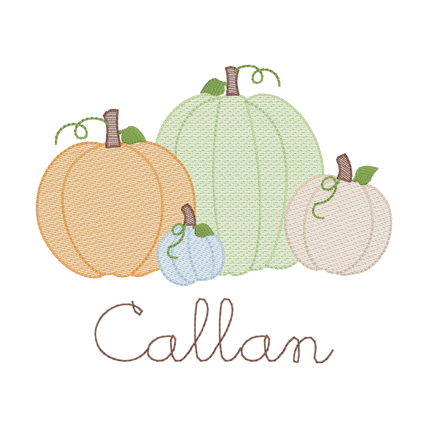 Boy Fall Pumpkins