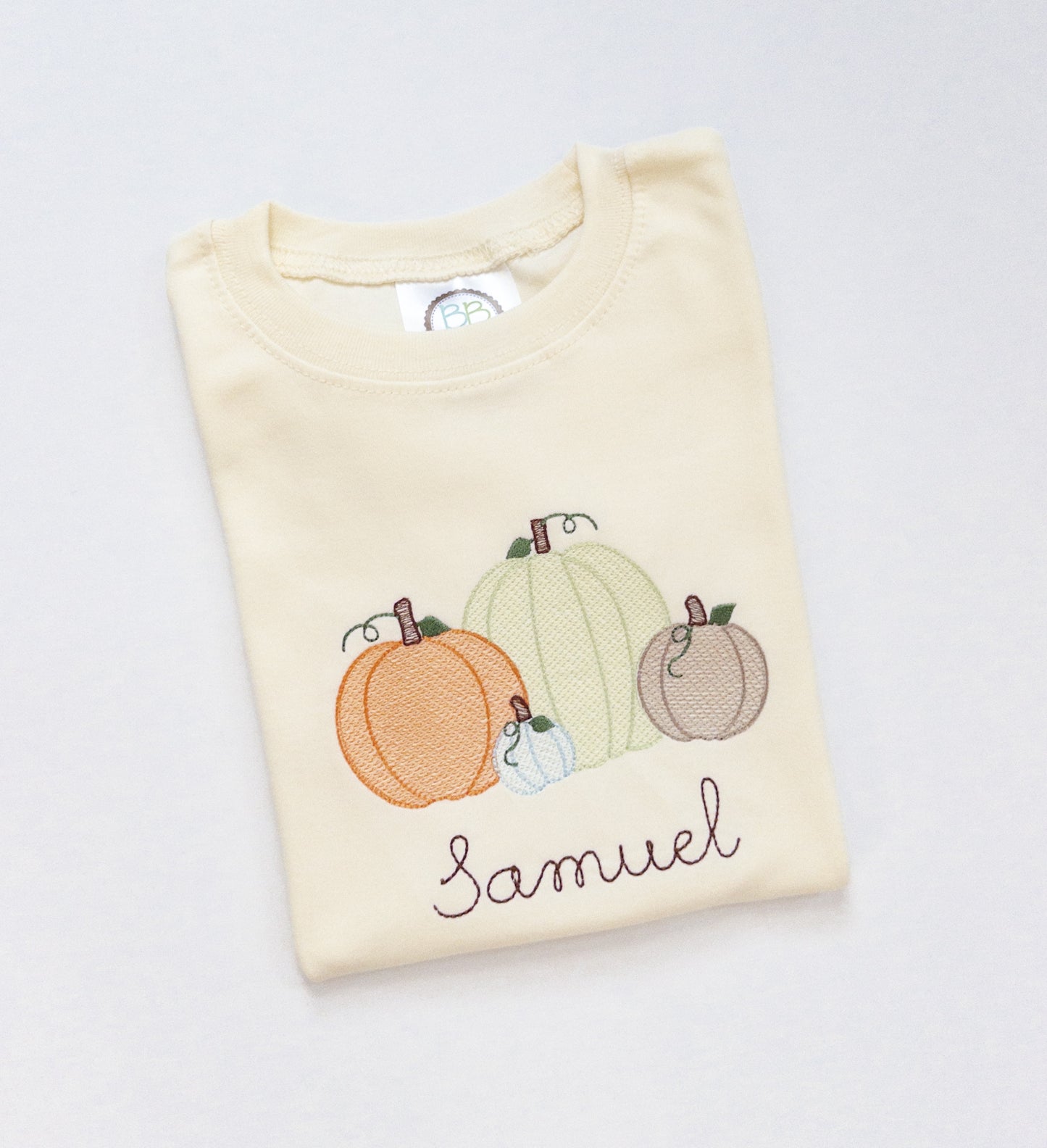 Boy Fall Pumpkins